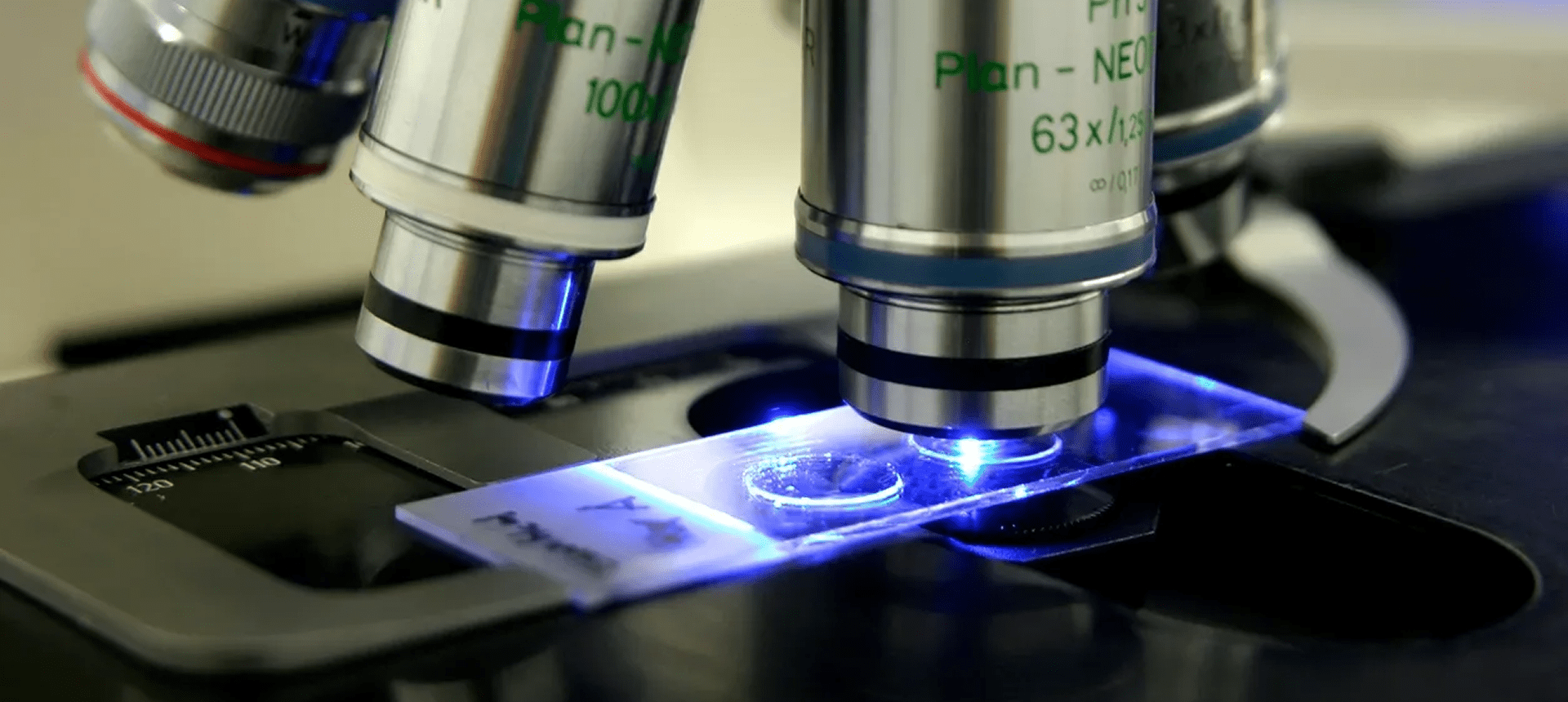 Microscope lenses examining glass slide